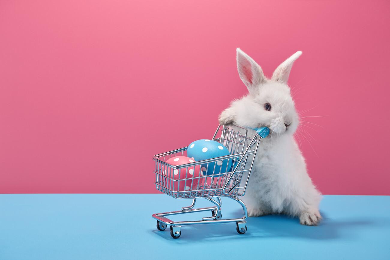 White Easter bunny rabbit with shopping basket and painted eggs on blue and pink background; Shutterstock ID 1902197566