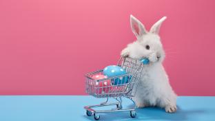 White Easter bunny rabbit with shopping basket and painted eggs on blue and pink background; Shutterstock ID 1902197566